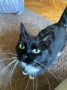 Agatha (1)2